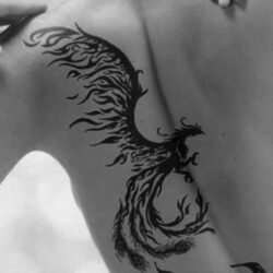 espalda de chica tatutada con ave fenix en blanco y negro y fondo gris