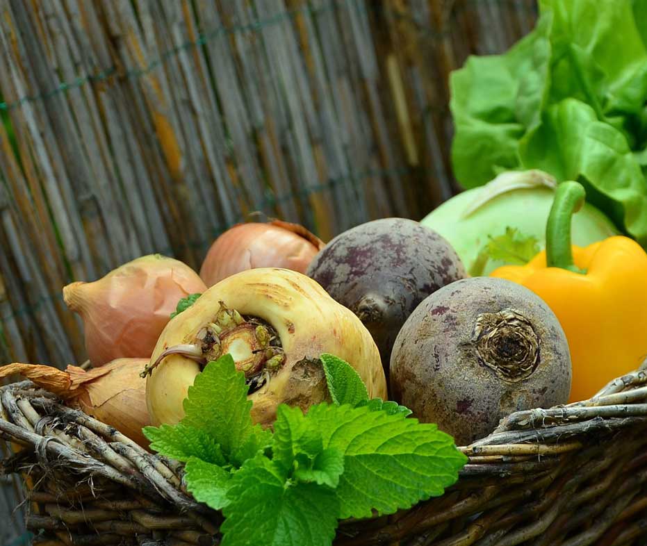 Ingredientes principales para ensaladas árabes: Remolacha, pimientos verdes, cebolla