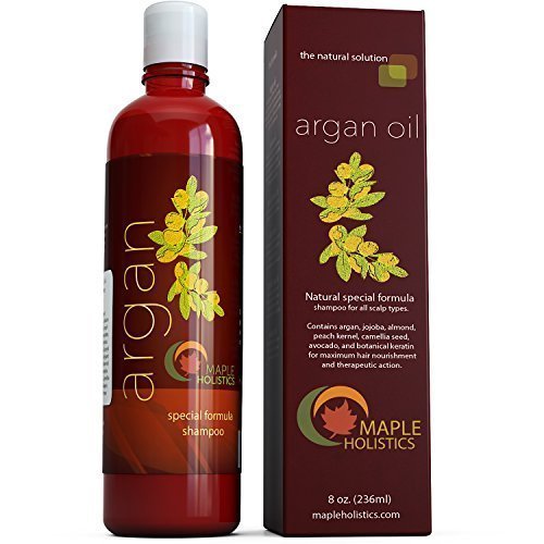Argan Oil Shampoo, Sulfate Free, 8 oz. - With Argan, Jojoba, Avocado, Almond, Peach Kernel, Camellia Seed, and Keratin - 100% Safe for Color Treated Hair - For Men, Women, and Teens - All Hair Types - Most Beneficial Haircare Product Available by Maple Holistics